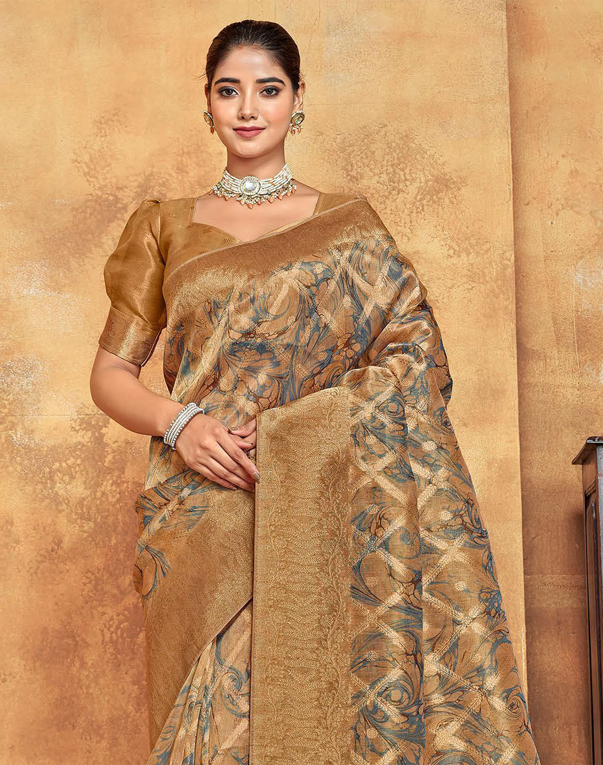 Light Brown Graphic design Organza Saree