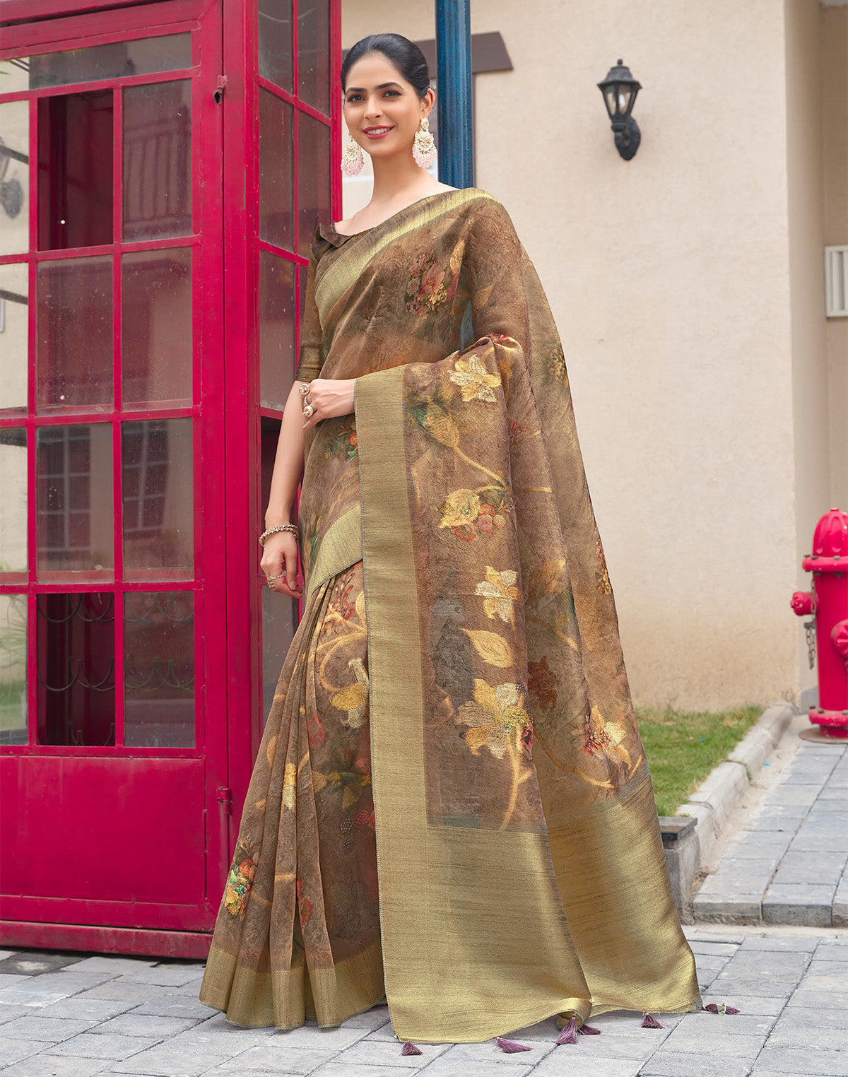 Brown Party Wear Organza Saree