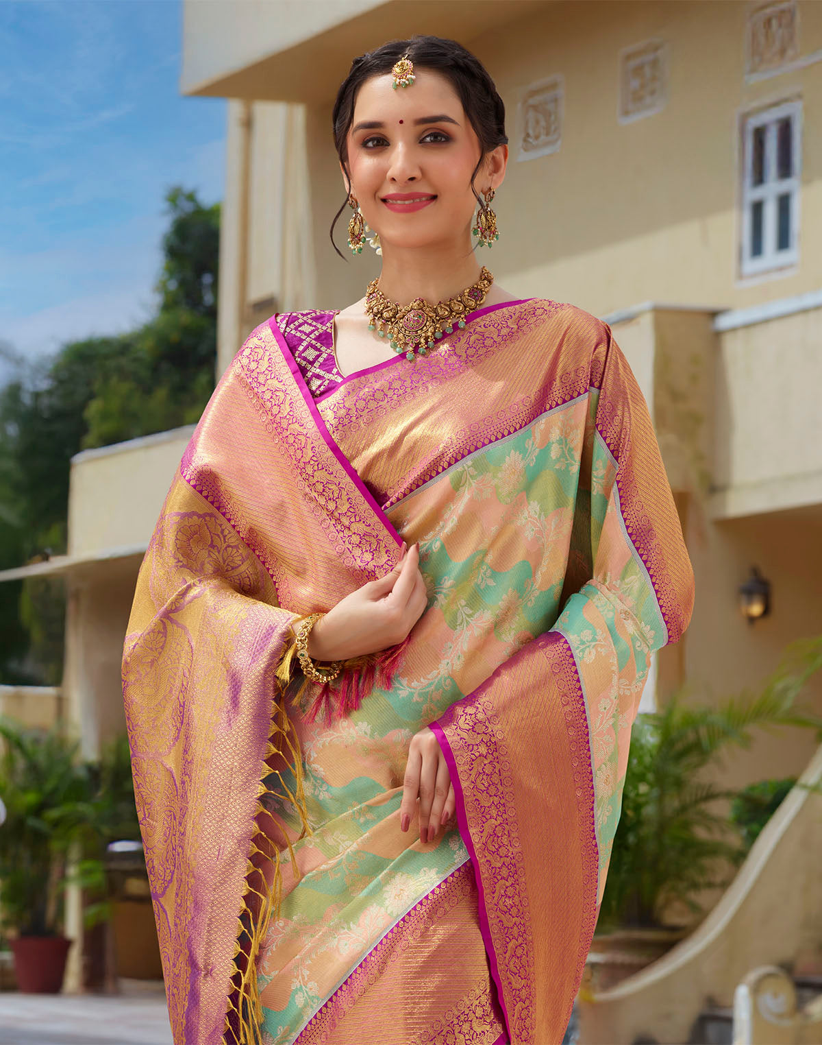 Multi Color Tissue Jaal Pure Silk Saree with Contrast Border