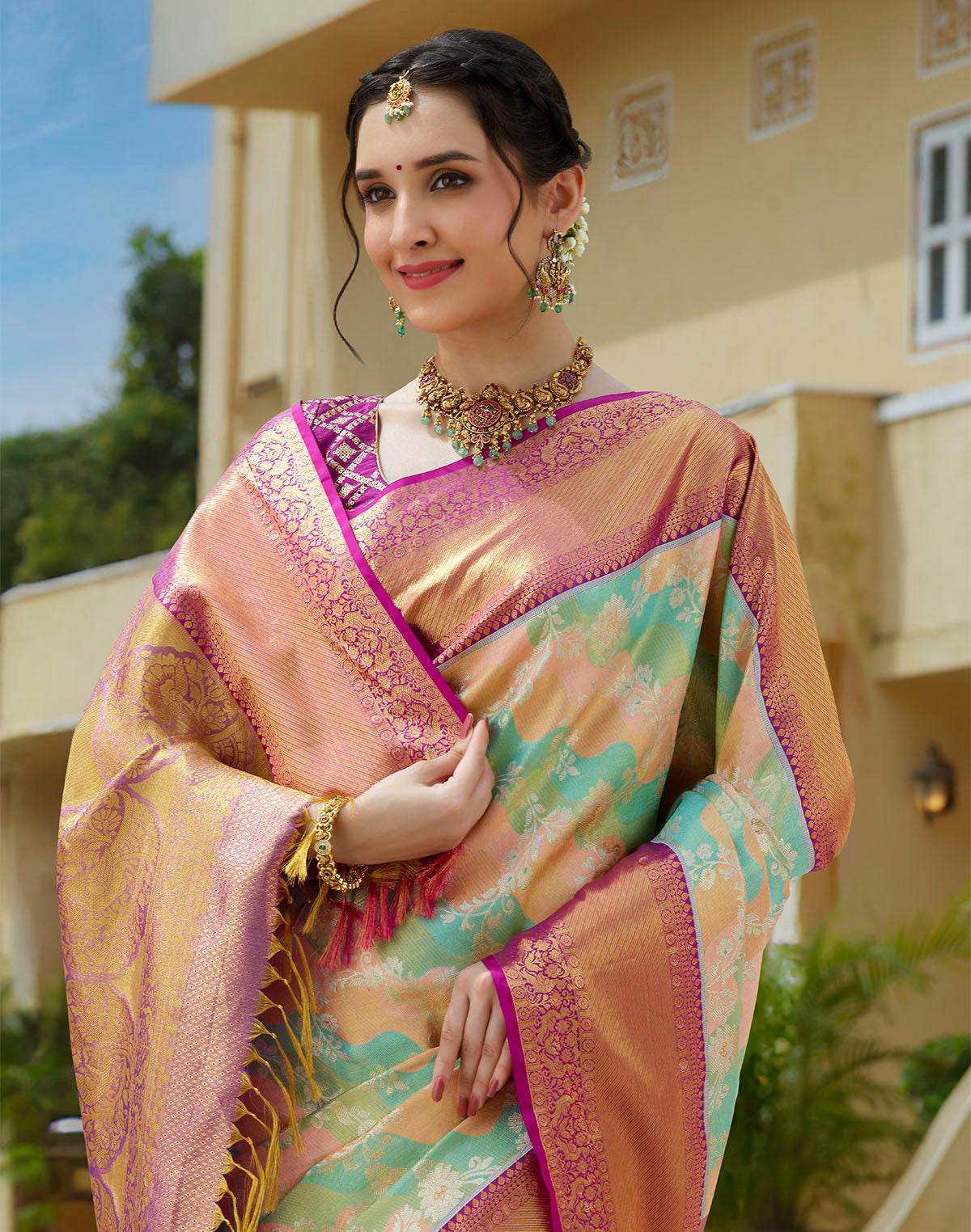 Multi Color Tissue Jaal Pure Silk Saree with Contrast Border